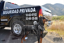 JM Seguridad Privada